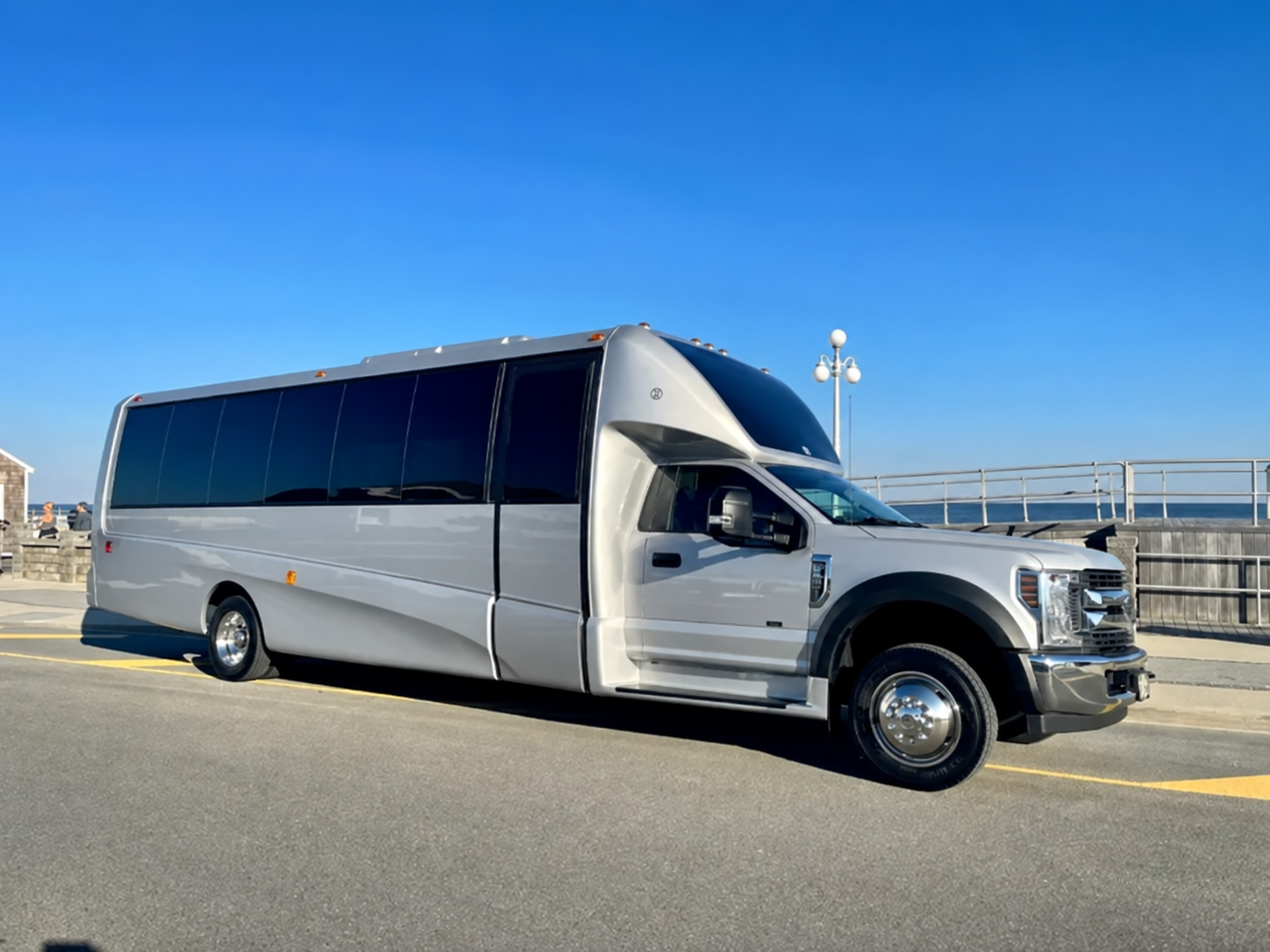 24 Passenger Silver Luxury Party Bus 05
