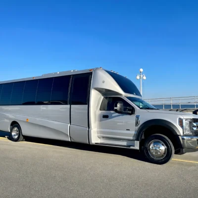 24 Passenger Silver Luxury Party Bus 05