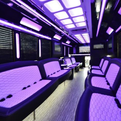 28 Passenger White Luxury Party Bus