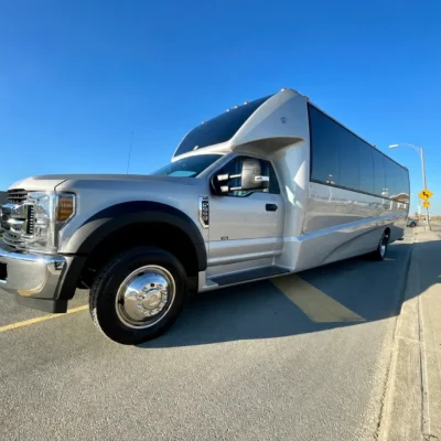 24 Passenger Silver Luxury Party Bus