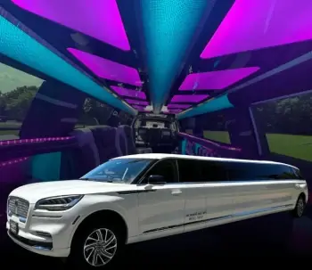 14 Passenger White