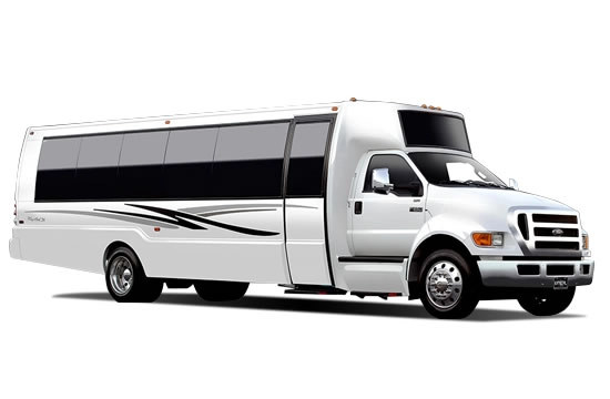 Luxury 30-passenger shuttle bus for private group transportation.