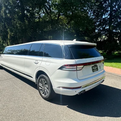 10 Passenger 03