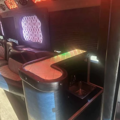 45 passenger 01