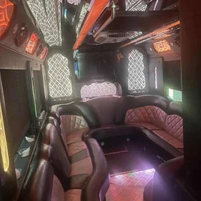 45 passenger 03